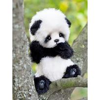 „Pasidaryk pats“ „Panda“ 5D deimantinis dažymas, pilnas apvalus grąžtas „Animal“ deimantinis siuvinėjimas kryžminio dygsnio mozaikos rinkiniai Menas namų dekoras Full Round 20x30CM black
