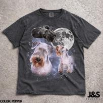 Three Cesky Terrier Moon Shirt, Rare Terrier Dog Tshirt, Cesky Terrier Lover Gift, Dog Mom Tee, Cute Dog Graphic Shirt 150 gray