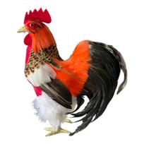 Rooster Simulation Model Chicken Garden Statue Simulation Cock Figurine Outdoor Decoration for Farm Yard Kitchen Store Home įvairiaspalvis
