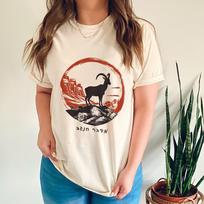 Negev Desert Shirt Tel Aviv Shirt Israel Shirt Am Yisrael Chai Jewish Shirts Hebrew T-Shirt Jewish Gift Jewish T-Shirt Stand With Israel Tee 3XL brown