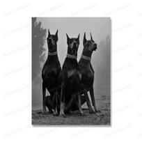 Šiuolaikinės mados dobermano ginklas prabangūs šunų plakatai Spaudiniai drobės tapyba Šiaurės šalių juodai baltos sienos meno paveikslėliai biuro namų dekoravimui 60cm×100cm NoFrame gray