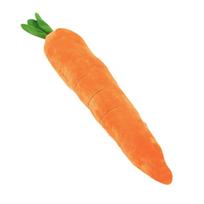 Durable Plush Carrot Dog Chew Toy with Squeaker Sound Interactive Vegetable Pet Toys Small Medium Large for Dogs Accessories orange