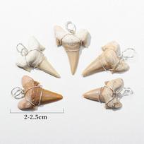 Marokietiškas ryklio danties sidabrinis vielos pakabukas su dygliuotojo ryklio fosilija ir amonito pavyzdžiu With Leather Cord beige