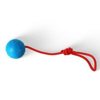 Rubber Ball with Rope Pet Teeth Indestructible Bite Toy Funny Puppy Training Solid Balls Pets Dog Chew Molar Interactive Toys 6.5cm