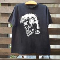 Billy Idol Its A Nice Day To Tour Again 2026 Billy Skull T-Shirt For Fan DH1742 XXL white