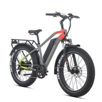 JOBOBIKE Kelper-E42 Adult Electric Bike with 48V 20Ah LG Battery pilka