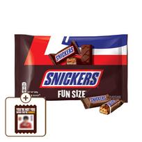 Snickers Peanut Fun Size 500G red