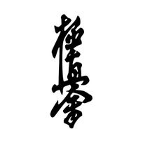 Vibrant Kyokushin Karate Car Decals (2PCS) - Durable Waterproof Vinyl for Bumper/Window, Cool Dojo-Themed Auto Decor & Easy-Stic H 20cm 2pcs juoda