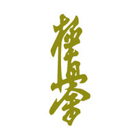 Vibrant Kyokushin Karate Car Decals (2PCS) - Durable Waterproof Vinyl for Bumper/Window, Cool Dojo-Themed Auto Decor & Easy-Stic H 20cm 2pcs auksas