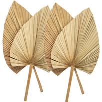 Decoration Office Natural Trimmed Tropical Bohemian Palm Spears Dried Plant Fan Leaf Leaves 4Pcs