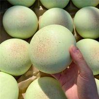 Scented Sticky Bun Daifuku Hi Squishy Fidget Toy Slow Rising Stress Relief Toy Wet Soft Tactile Pressure Sensory Toy Relax
