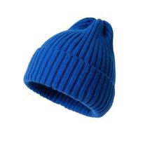 Nauja žieminė kepurė moterims, vyrams, berniukams, mergaitėms, nerta kepurė, vienspalvė, unisex, rudens megzta kepurė, kepurės, laukiniai aksesuarai One Size mėlyna