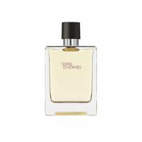 Hermes Terre D'Hermes Eau De Toilette Spray 100ml