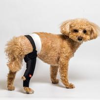 anifull Dog Knee Fit Support Brace XS Size, Dog Knee Joint Protector with Built-in Resin Stays, Easy to Wear Pet Knee Supporter beige