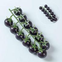 Hanging Artificial Tomatoes String Foam Fake Fruit Props Tomatoes Ornament  Photography Props