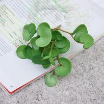5 vnt. dirbtinė varinė monetų žolė, dirbtiniai augalai, netikri lapai, žalias augalas, stalo bonsai augalai, namų biuro dekoras