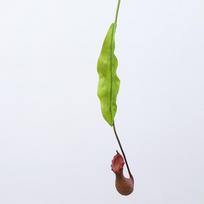 Hanging Green Plants Artificial Pitcher Plants Plastic Flytraps Flower Arrangements Greenery Accessories Wall Decor Plants