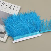 1 metras 8-10 cm pločio stručio plunksnų apdaila Plunksnų apdaila Kutai Kostiumai Siuvimo reikmenys Lake blue