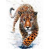 Diamond Painting Cross Stitch Full Drill Mosaic Diamond Embroidery Rhinestone Mosaic Gift Home Wall Decor 35x45CM