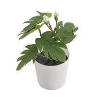 Greenery Artificial Grass Bonsai Green Simulation Plant Potted High Quality Desktop Ornament  Gift 5