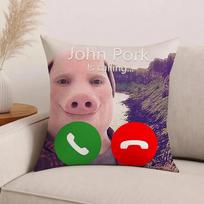 Meme John Pork funny Pillow Case Office Cushions Suitable For Sofa Car Bedroom Decorative Cushion Cover 30cm x 30cm gray