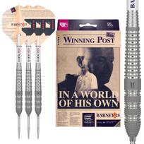 Target Darts Raymond Van Barneveld RVB 25 Metų Edition 25g Volframo Swiss Point Plieninio Antgalio Dartų Rinkinys 95% juoda