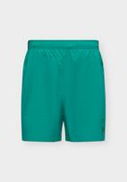 UNDER ARMOUR Sportinės kelnės 'Vanish Wven 2.0' žalia / juoda