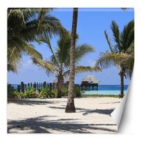 Wallpaper Palm trees and the blue sea 300x300