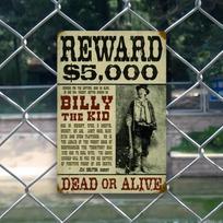 Vintage Billy The Kid Reward Wall Art   Rustic Metal Sign   Dead or Alive Motif  for Living Room Coffee Bar Home D 30x40cm(11.8x15.7inch) gray