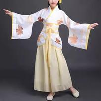 Traditional Hanfu Dress for Women Long Sleeve Robe Set with Wide Belt and Embroidered Floral Pattern for Festivals Parties Stage Performance 160 geltona