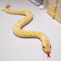 50/65cm Aukštos kokybės simuliacinio gyvatės pliušinis lėlė Gyvas spalvos Boa žalia ruda mėlyna rožinė oranžinė gyvatės pliušinis žaislas Namų dekoracija about 50cm beige