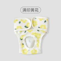 Washable dog physiology pants female dog anti-harassment panties medium and small dog aunt teddy pants pet breathable diapers XXL (recommended weight 25-20 kg) beige