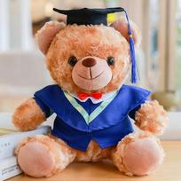 Baigimo dovana Universitetas daktaro magistro meškiukas pliušinis žaislas spausdinta dovana dovanų draugams iš klasės 23cm brown