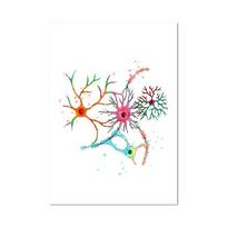 Neuron Watercolour Neuroscience Neurology Wall Art Plakatas Spausdinti Smegenų Anatomija Medicina Drobė Tapyba Sinapsės klinikos kambario dekoras 40X60cm No Frame