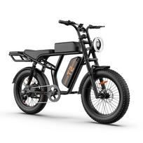 URLIFE T2 Electric Bike,250W Motor,48V 15.6Ah Battery,Up to 100 Miles,20 x4.0  Fat Tires,Full Suspension,7-Speed,LCD,LED Lights
