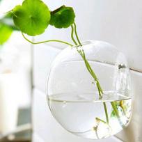 Glass Vase Flower Pot Fish Tank Terrarium Wall Hanging Pots Ball 12cm white