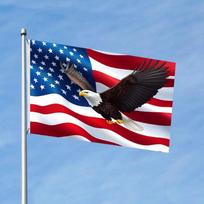1pc 1pc Vibrant Patriotic Flag, Size 91.44X152.4 cm, Designed for Flagpole Sleeve Style. It Features Single-Sided Hanging Design And Comes with a Flag 60x90cm blue