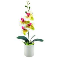 Įmantrus netikras bonsai, nevytantis, pasidaryk pats, spalvotas, ryškios, vazoninės dirbtinės orchidėjų gėlės sodo reikmenys žalia
