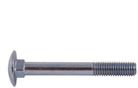 Varžtas DIN 603 Haushalt, 10 mm x 80 mm, 8 vnt.