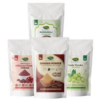 Thanjai Natural Amla, Reetha, Shikakai, Bhringraj, & Hibiscus Powder Combo (100g Each) | Herbal Hair Care Powder Kit | Natural hair Cleanser Cond white