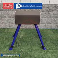 Gimnastikos treniruočių arklys blue