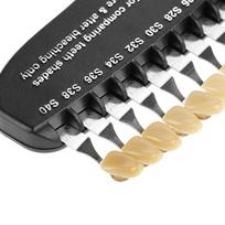 20 Colors Teeth Whitening Dental Shade Guide Bleaching Porcelain with Mirror gray