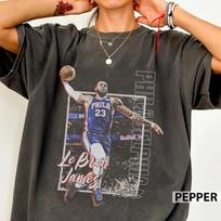 Lebron King Philadelphia Vintage Comfort Colors Shirt, Basketball vintage Shirt, King Philly 23 Graphic Tee, LeBron James Sixers Tee 2XL gray