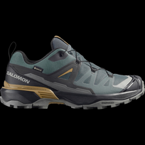 SALOMON shoes X Ultra 360 GTX urban chic/black/brilliant olive