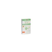 NORSAN Omega-3 Alga Jelly, želatininės pastilės, 45 guminukų