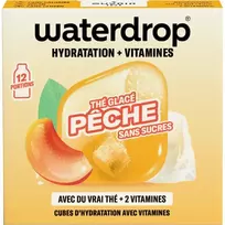 Microdrink WATERDROP ledo persiko skonio