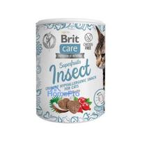 BRIT Snack Superfruits Insect 100g