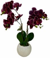 Dirbtinis augalas vazone, orchidėja, bordo sp./žalia sp., 50 cm x 14 cm