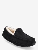 UGG - M Ascot - Šlepetės - Juoda