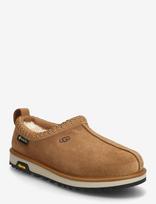 UGG - W Tasman Gtx - Meškiukas - Ruda